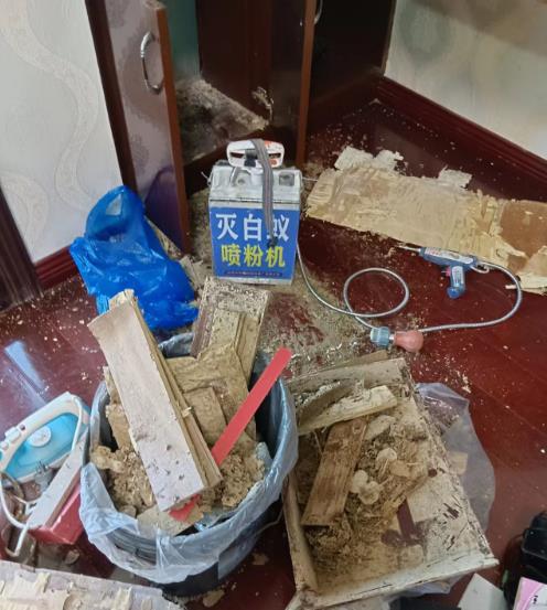 厦门白蚁防治中专用灭白蚁工具 灭白蚁喷粉器